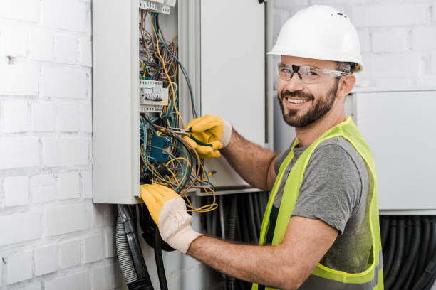 Best Ceiling Fan Installation Electrician  in Pierz, MN